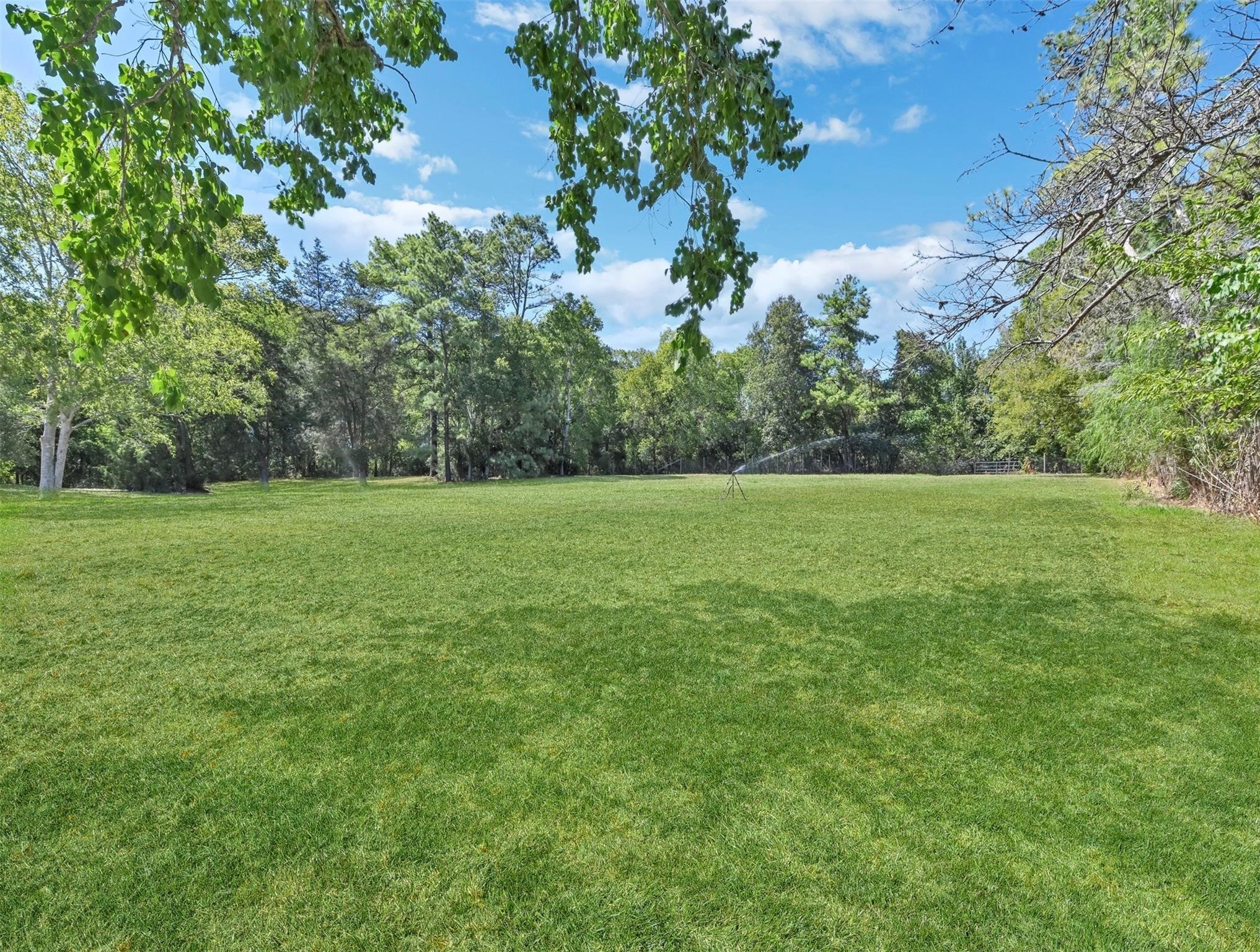 215 Reidland Road Crosby, TX 77532 - Photo 15 of 37 a view of a grassy field with trees in the background