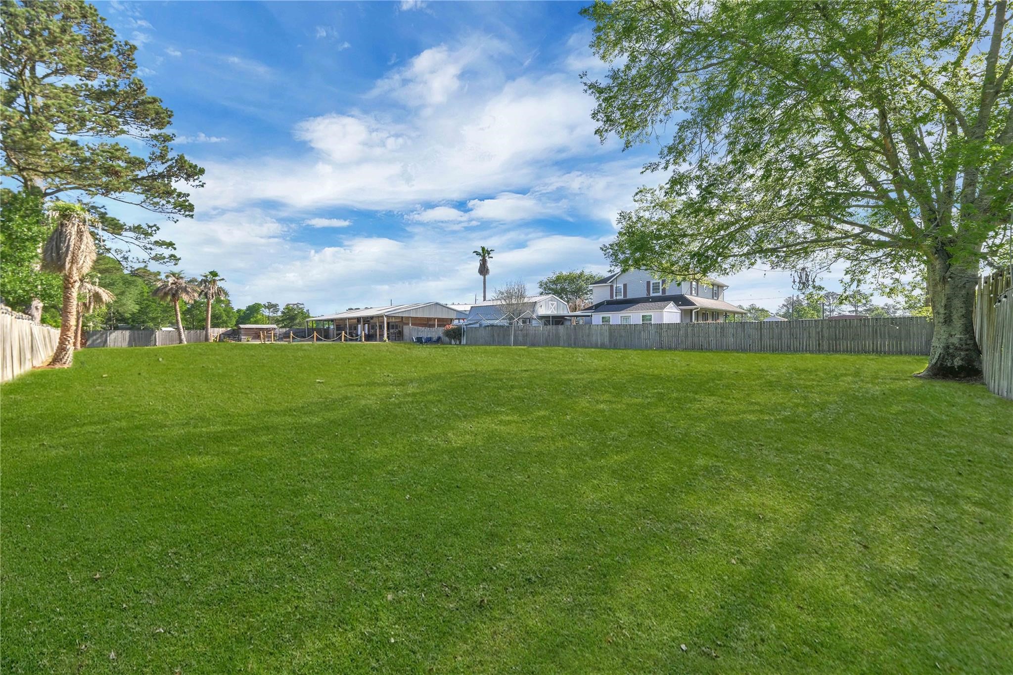 215 Reidland Road Crosby, TX 77532 - Photo 28 of 37 a view of yard with tree s