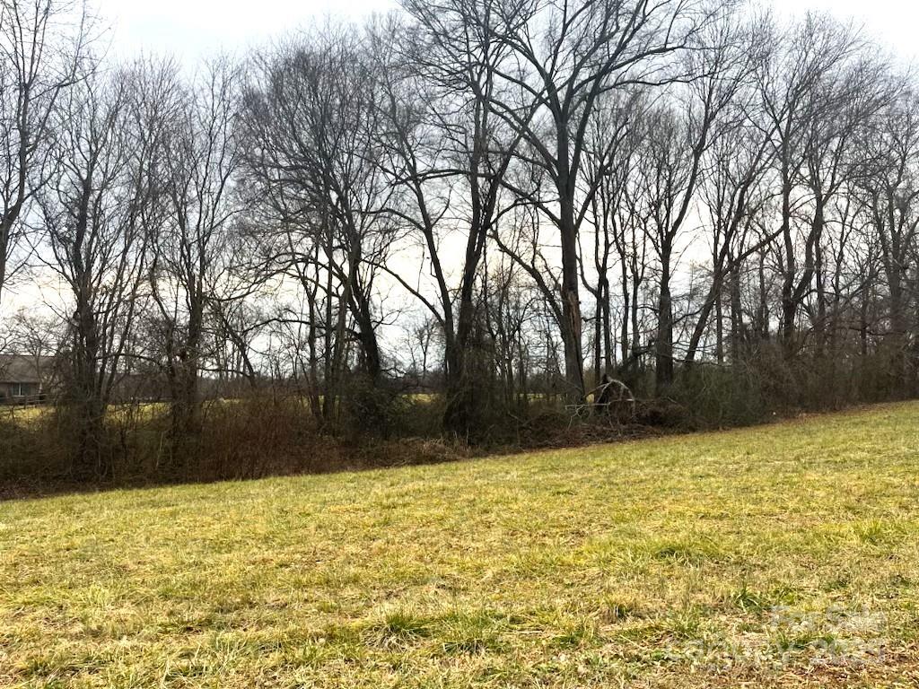 Lot 2 French Belk Road Mount Ulla, NC 28125 - Photo 3 of 3 Gallery Image 3