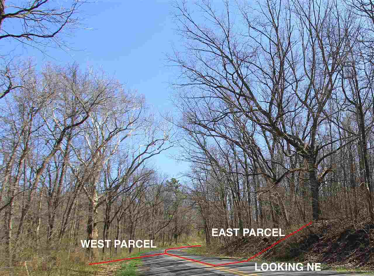 Vl E Par Oak Forest Road Buchanan, MI 49107 - Photo 2 of 9 Gallery Image 2