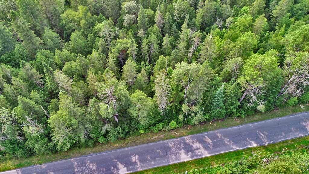 Lot 121 East Road New Sweden, ME 04762 - Photo 22 of 29 wooded-land-northern-me