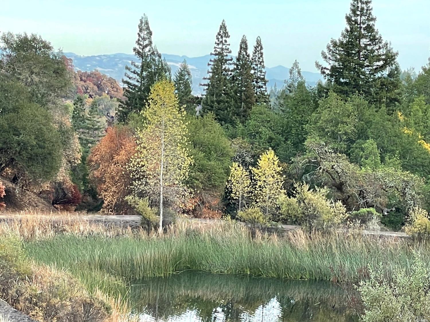 0 Wallace Creek Road Healdsburg, CA 95448 - Photo 2 of 10 a view of lake