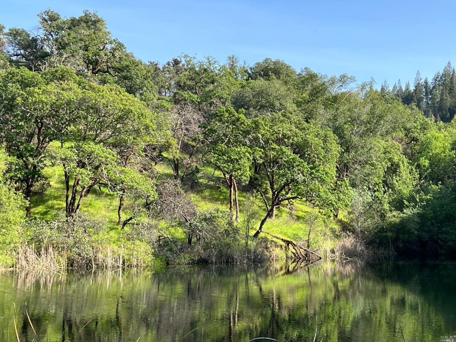 0 Wallace Creek Road Healdsburg, CA 95448 - Photo 3 of 10 a view of lake
