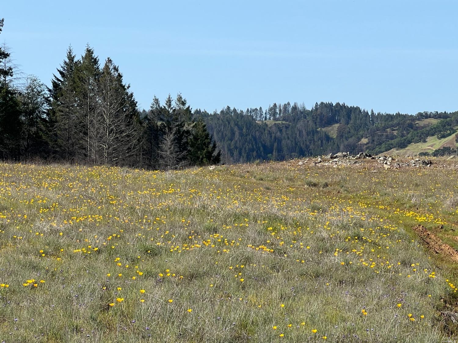 0 Wallace Creek Road Healdsburg, CA 95448 - Photo 4 of 10 a view of an outdoor space and a yard