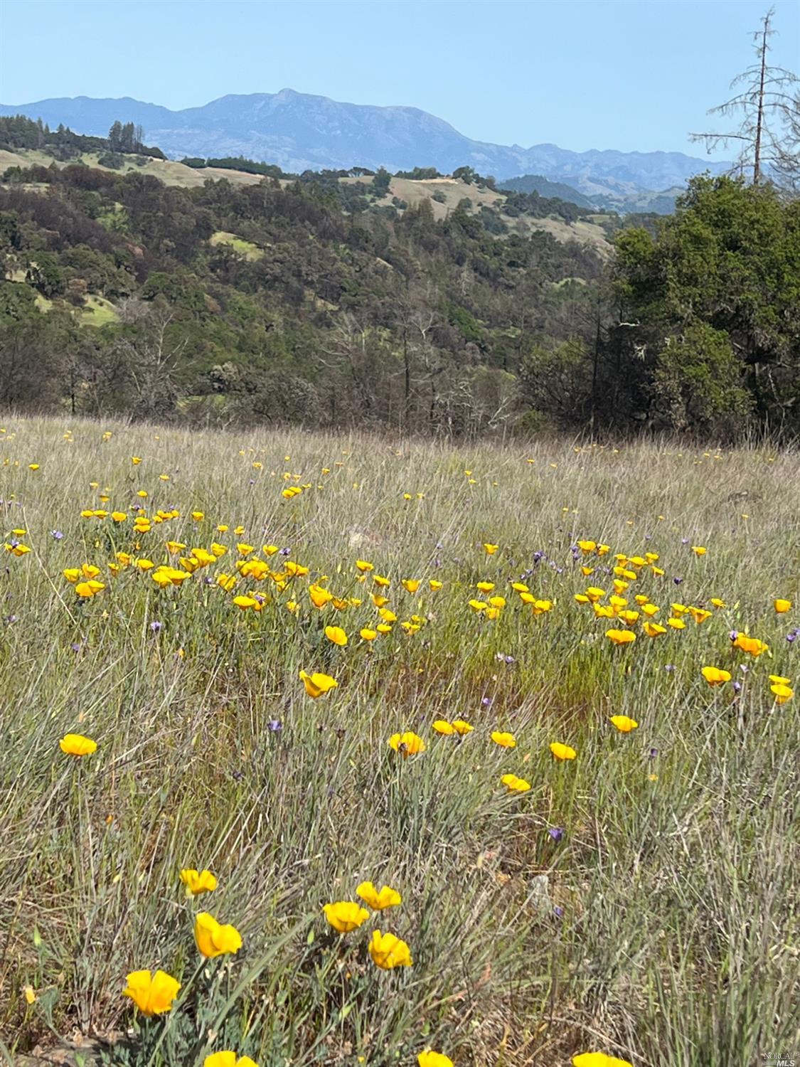 0 Wallace Creek Road Healdsburg, CA 95448 - Photo 5 of 10 a view of a lake with mountains in the background