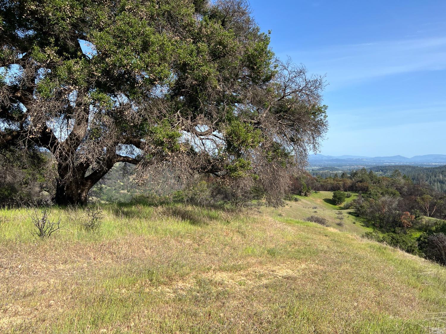0 Wallace Creek Road Healdsburg, CA 95448 - Photo 7 of 10 a view of a yard with a tree