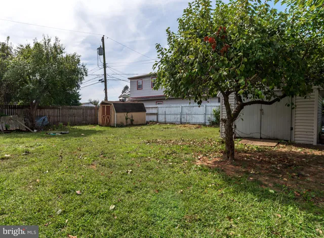 a view of a backyard with a garden and tree