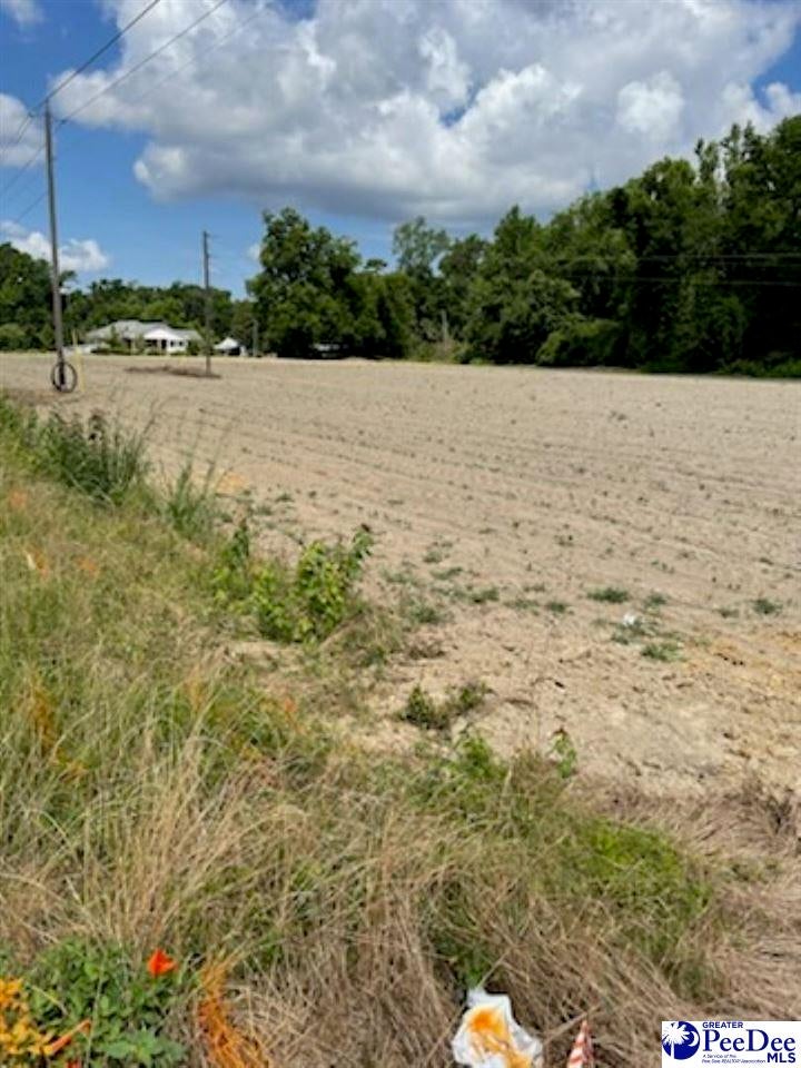 2398 Senator Gasque Road Mullins, SC 29574 - Photo 10 of 10 Gallery Image 10