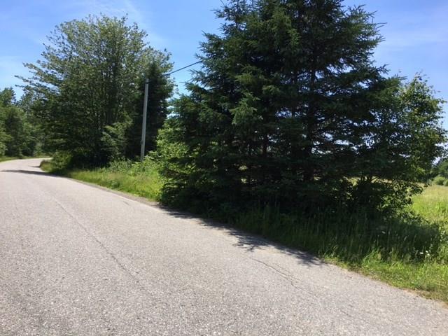 Lot 29 Wilcox Settlement Road Lubec, ME 04652 - Photo 4 of 4 Road frontage