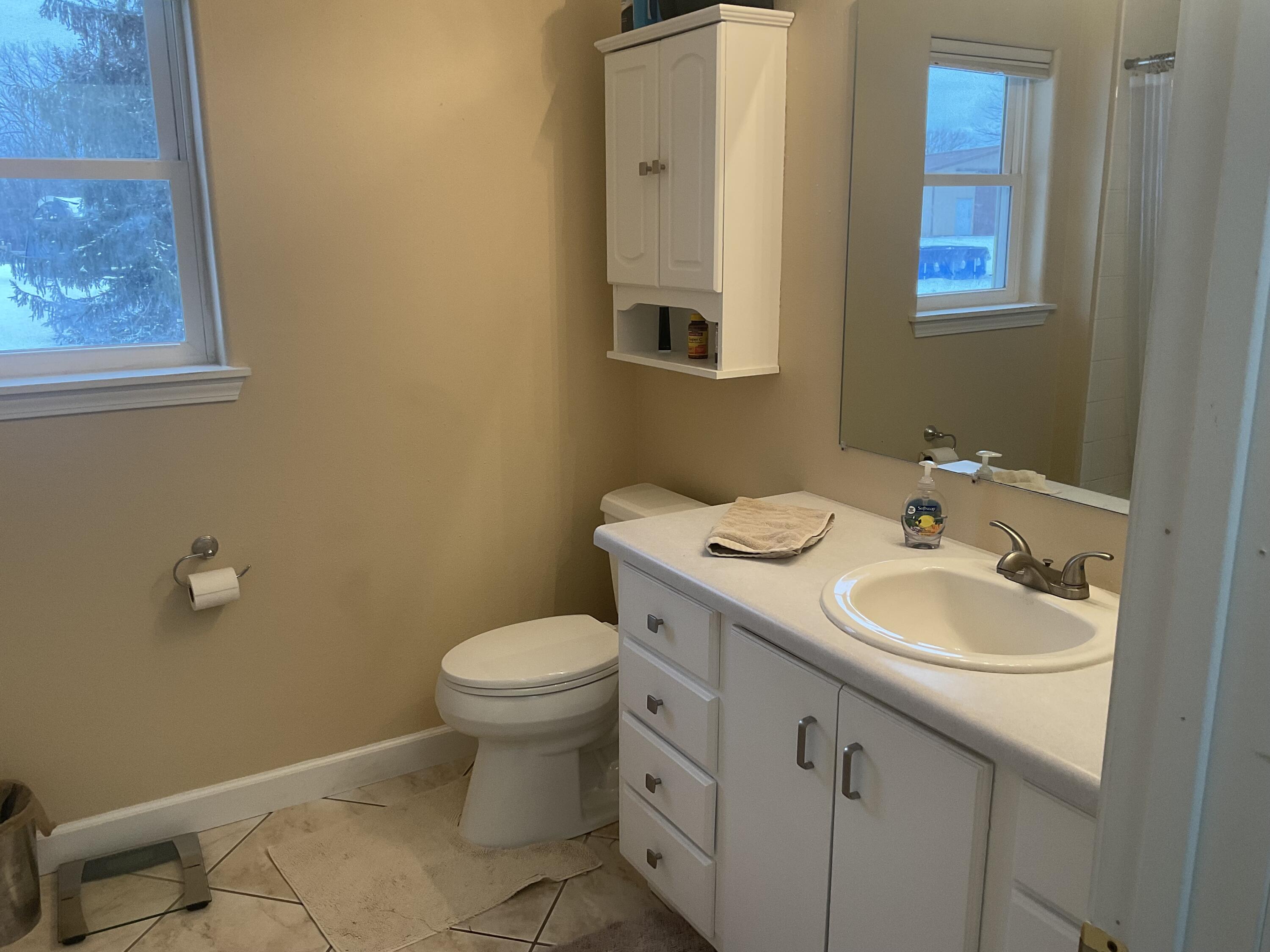 W242N4251 Swan Road Pewaukee, WI 53072 - Photo 12 of 15 Remodeled bath