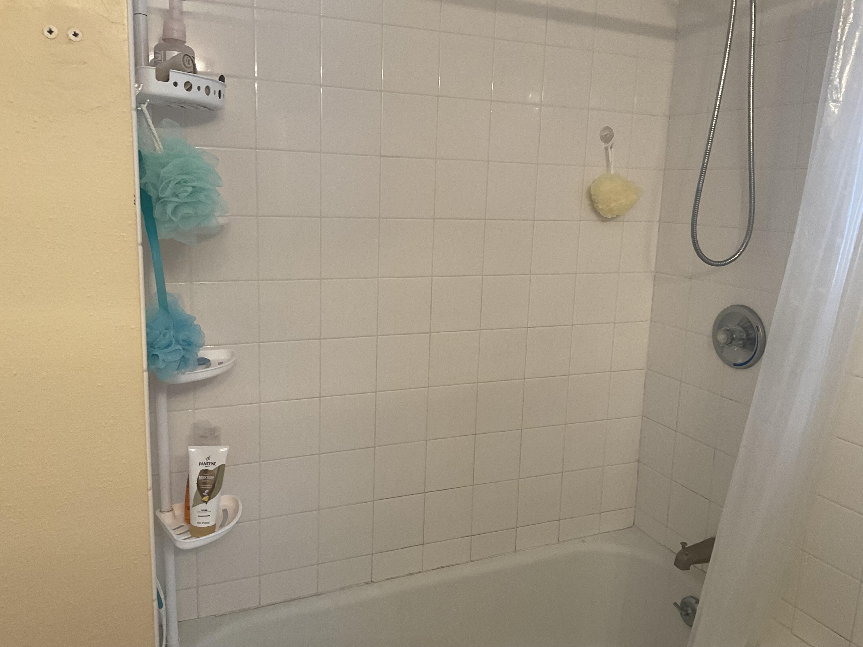 W242N4251 Swan Road Pewaukee, WI 53072 - Photo 13 of 15 Shower over tub