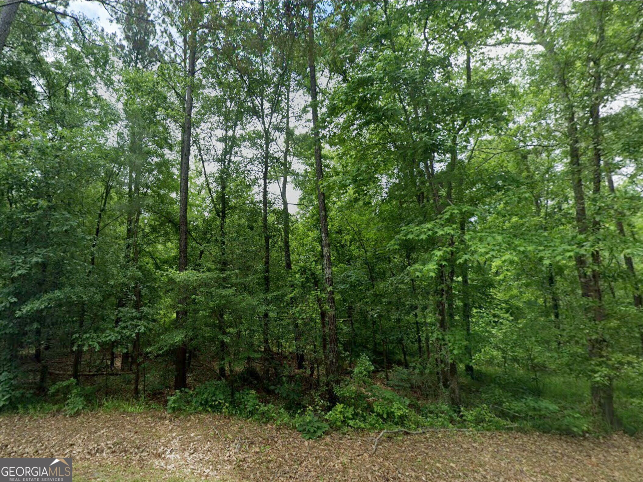 0 Old Eatonton Road Sparta, GA 31087 - Photo 4 of 11 Gallery Image 4