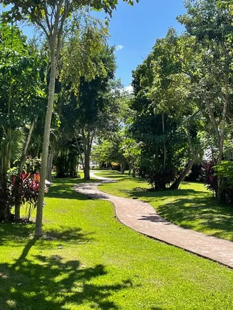 a view of a swimming pool and trees in the background
