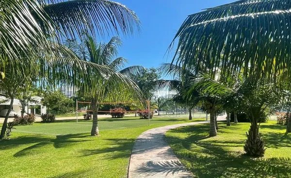 a view of a park with tree s