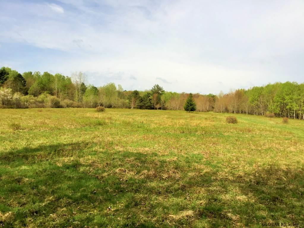 Ridge Road Schenevus, NY 12155 - Photo 1 of 25 Photo 1