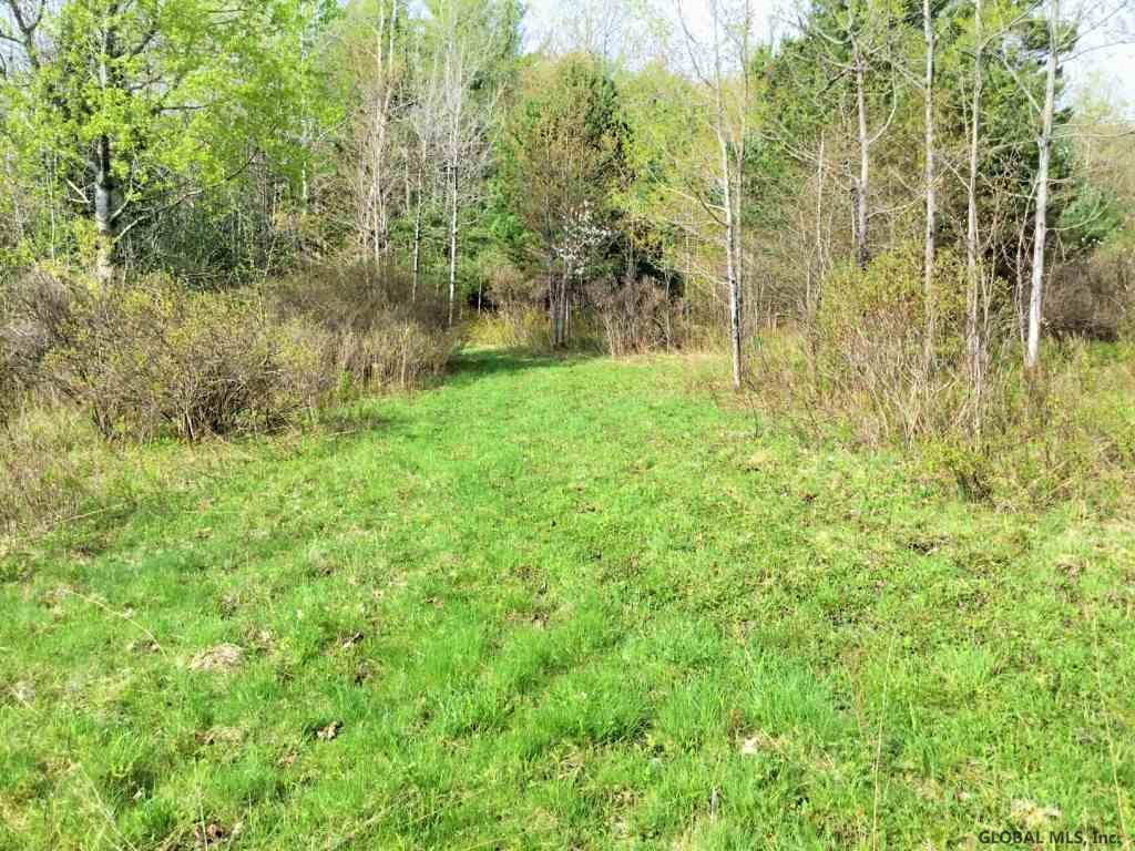 Ridge Road Schenevus, NY 12155 - Photo 11 of 25 Photo 11