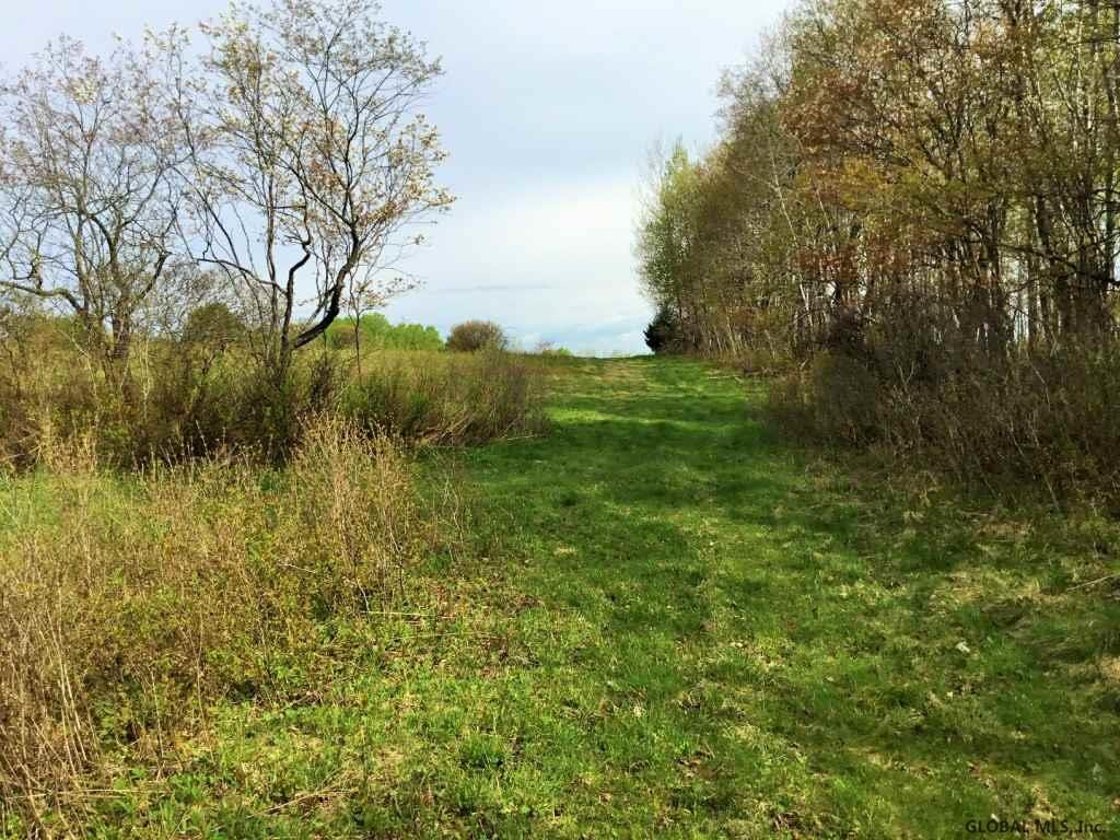 Ridge Road Schenevus, NY 12155 - Photo 16 of 25 Photo 16