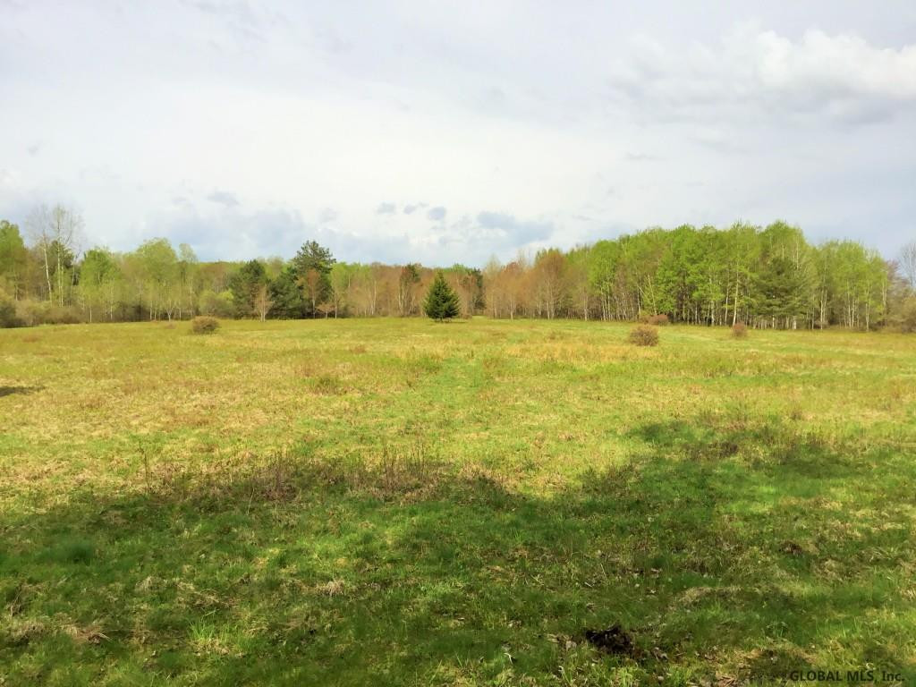 Ridge Road Schenevus, NY 12155 - Photo 18 of 25 Photo 18