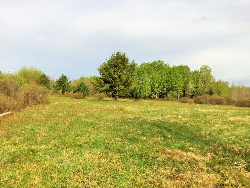 Ridge Road Schenevus, NY 12155 - Photo 3 of 25 Photo 3