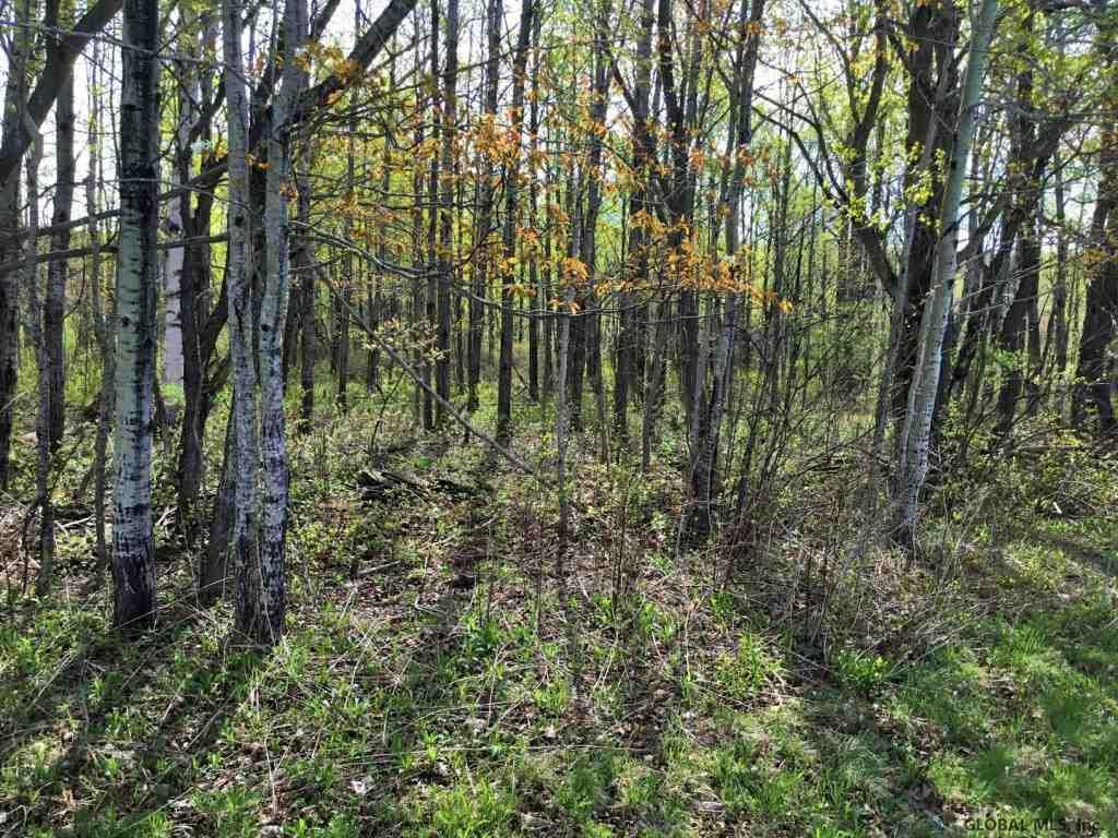 Ridge Road Schenevus, NY 12155 - Photo 4 of 25 Photo 4