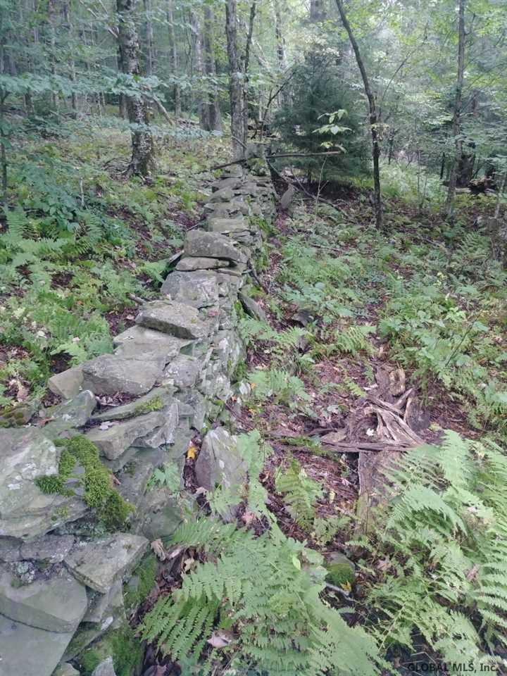 Ridge Road Schenevus, NY 12155 - Photo 5 of 25 Photo 5