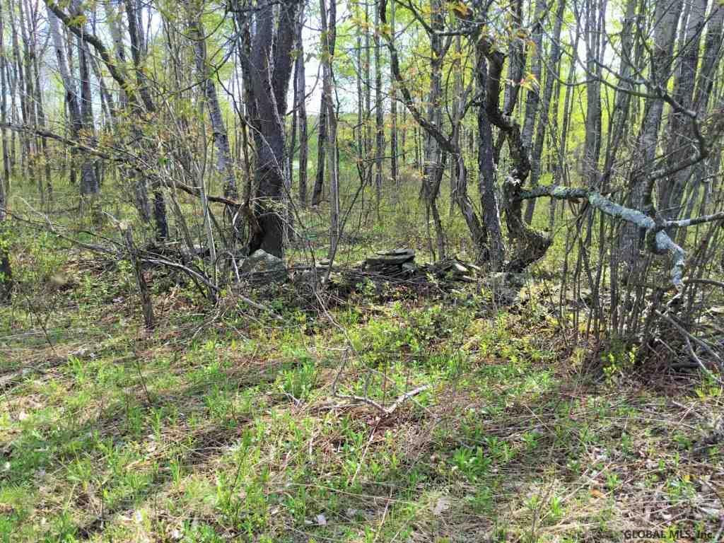 Ridge Road Schenevus, NY 12155 - Photo 8 of 25 Photo 8
