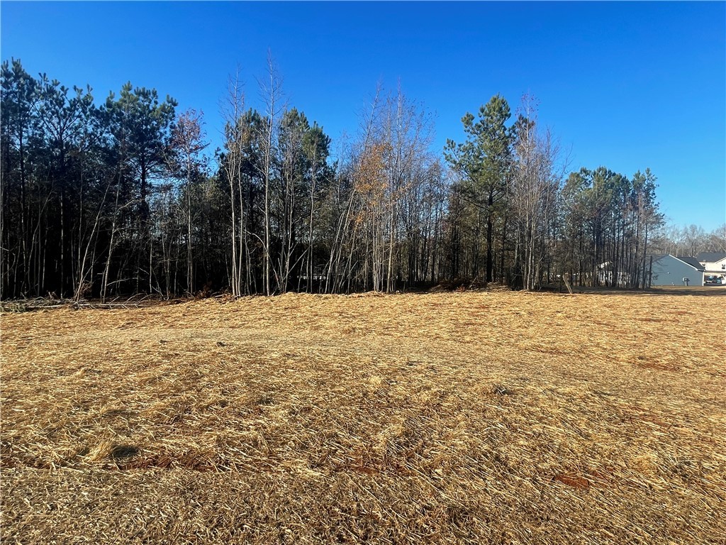 6004 Pearman Dairy Road Anderson, SC 29625 - Photo 18 of 24