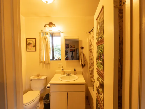 a bathroom with a sink a toilet and shower curtain
