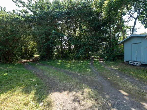 a view of a backyard