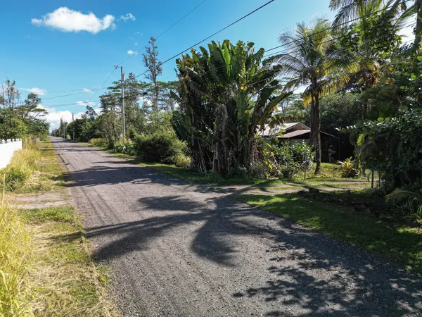 a view of a park with tree s