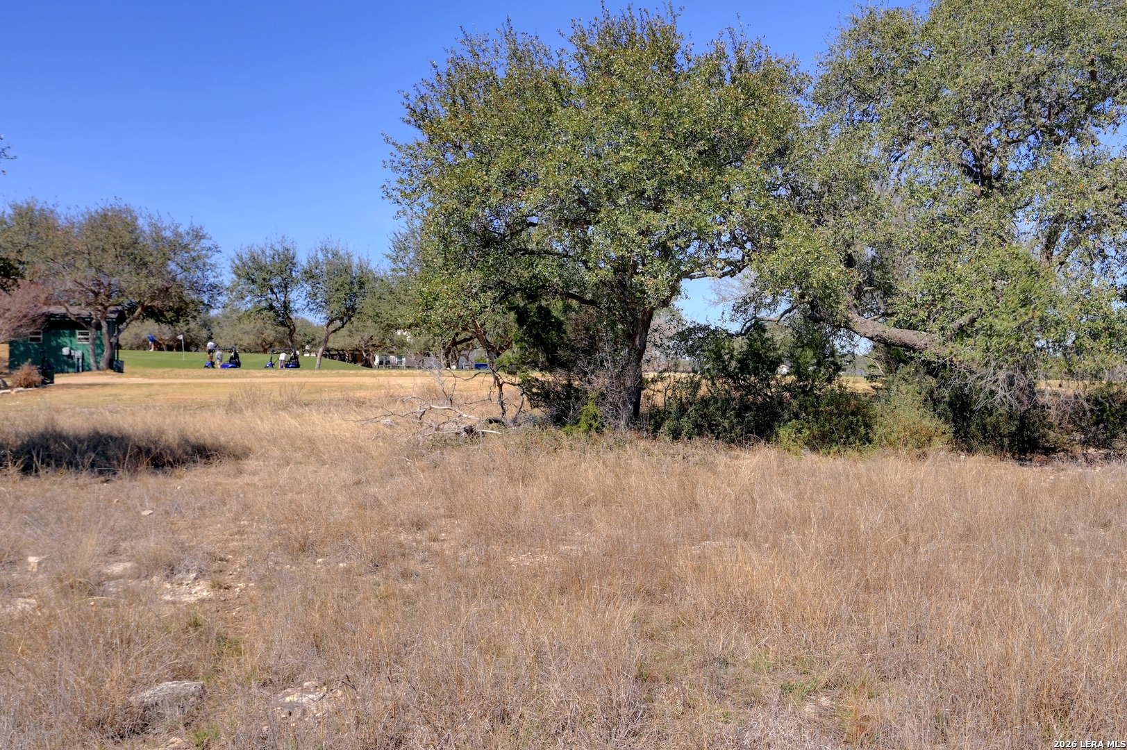 425 George Dolson Blanco, TX 78606 - Photo 23 of 27 a view of dirt yard