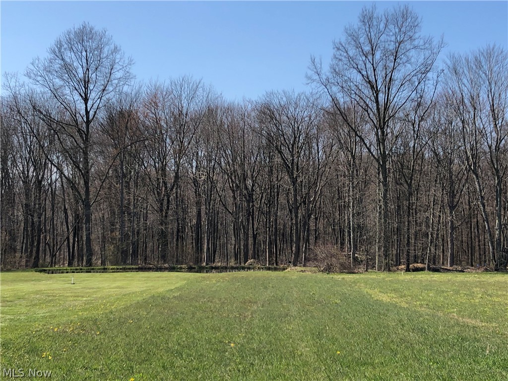 Fox Road Hiram, OH 44234 - Photo 3 of 5 View from road. Note property stake in mowed area that is the left rear corner of the lot.