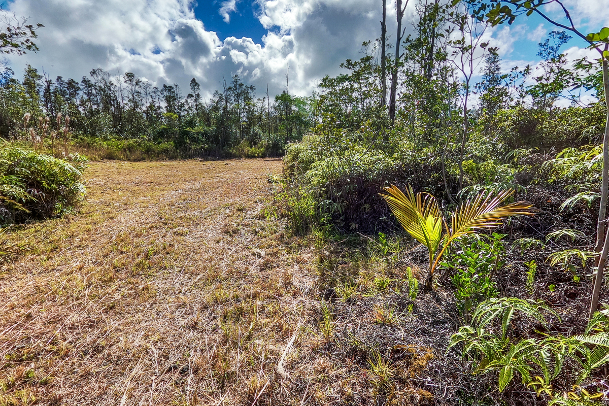 16-1474 Lot 3038 Hopue Rd Mountain View Mountain View, HI 96771 - Photo 11 of 30 a view of a garden with plants and large trees
