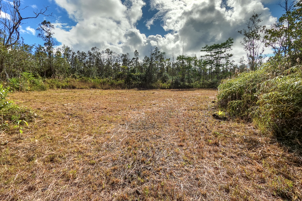 16-1474 Lot 3038 Hopue Rd Mountain View Mountain View, HI 96771 - Photo 12 of 30 a view of a yard with a tree