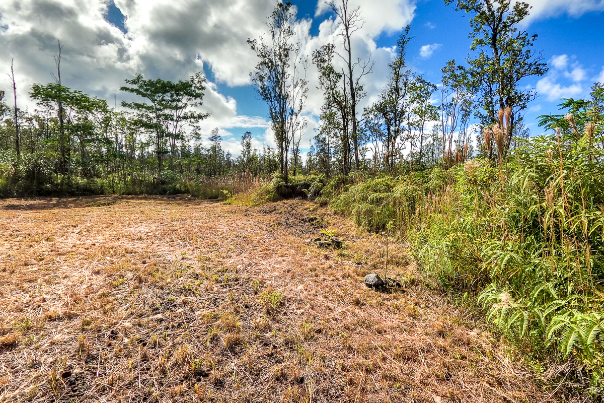 16-1474 Lot 3038 Hopue Rd Mountain View Mountain View, HI 96771 - Photo 13 of 30 a view of a yard with plants