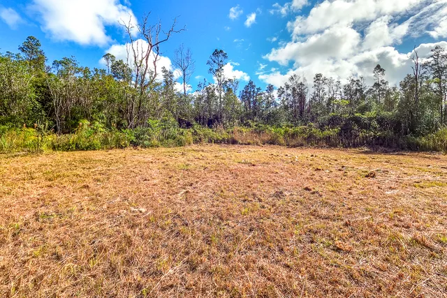 a view of a yard with yellow house