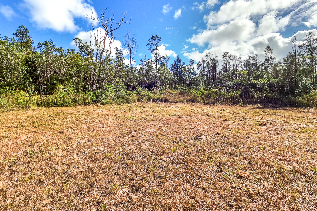 16-1474 Lot 3038 Hopue Rd Mountain View Mountain View, HI 96771 - Photo 14 of 30 a view of a yard with yellow lighting