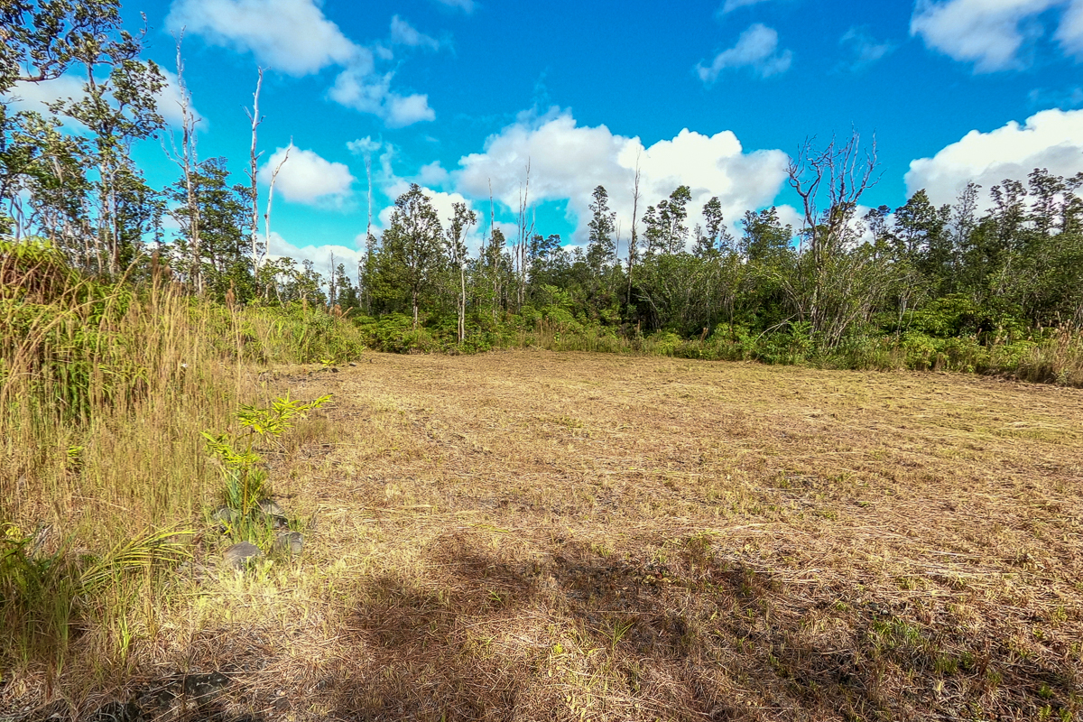16-1474 Lot 3038 Hopue Rd Mountain View Mountain View, HI 96771 - Photo 15 of 30 a view of a yard with yellow house