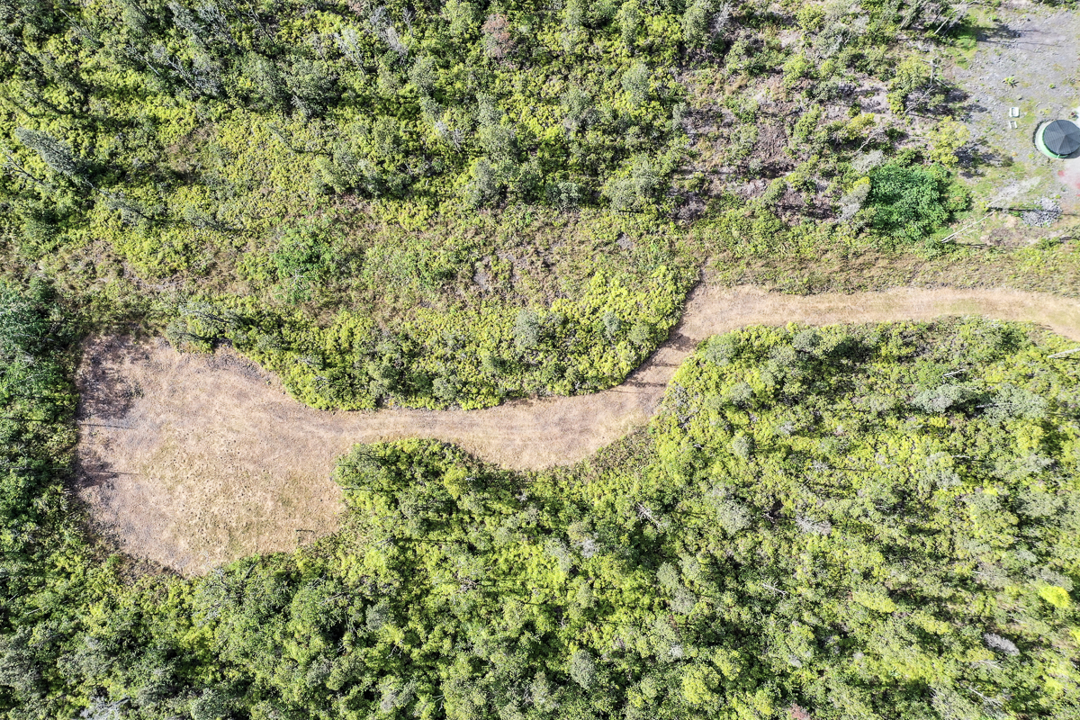 16-1474 Lot 3038 Hopue Rd Mountain View Mountain View, HI 96771 - Photo 2 of 30 a view of a garden with a plant