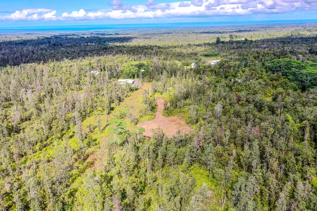 a view of a lake with a city