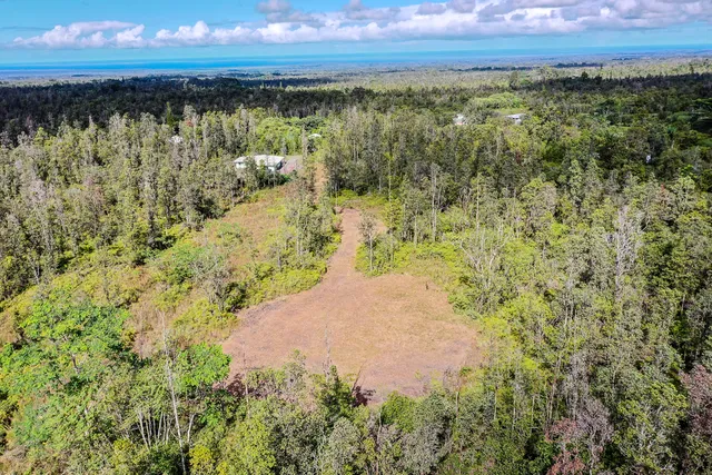 a backyard of a house with a tree