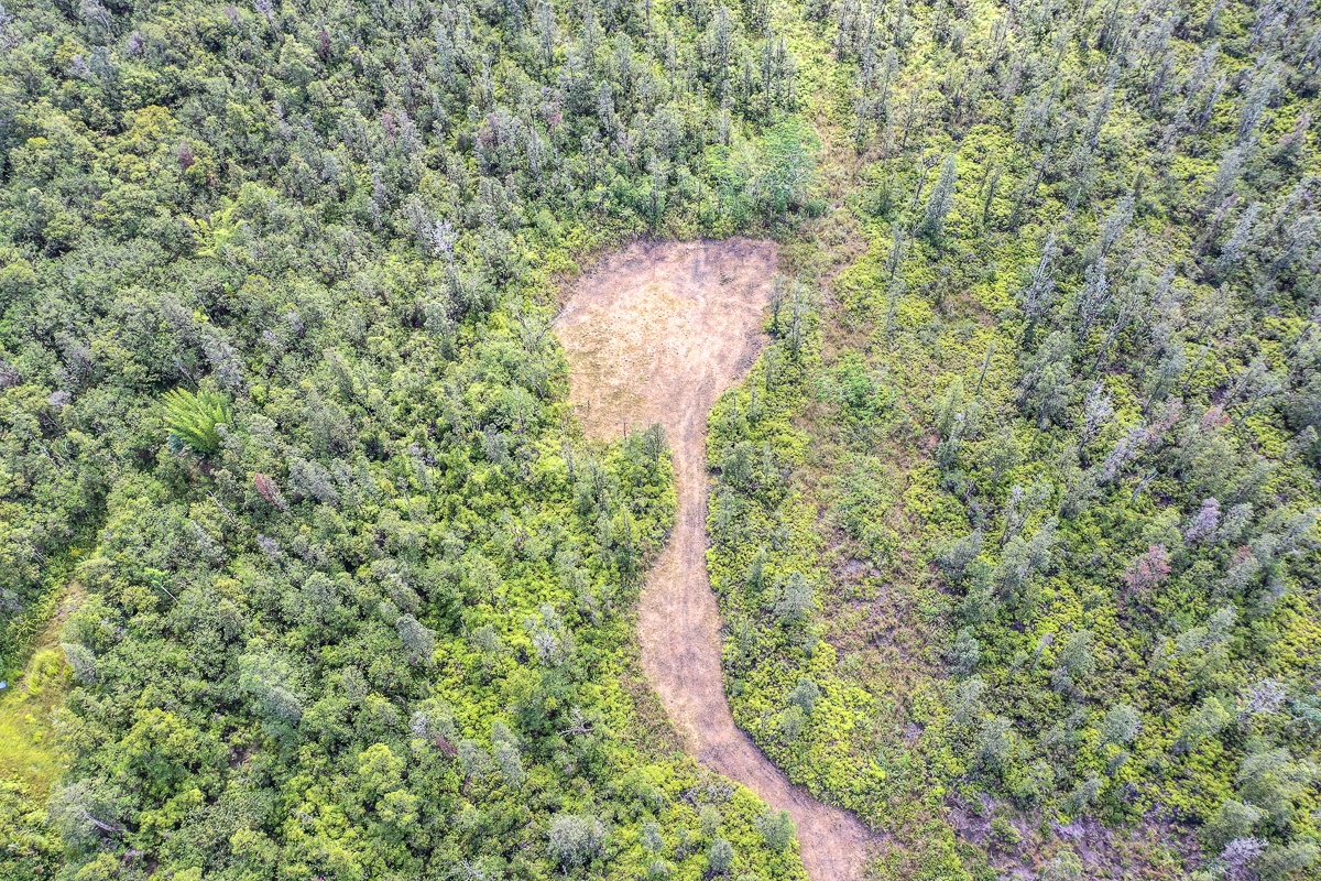 16-1474 Lot 3038 Hopue Rd Mountain View Mountain View, HI 96771 - Photo 27 of 30 a view of a yard with fountain