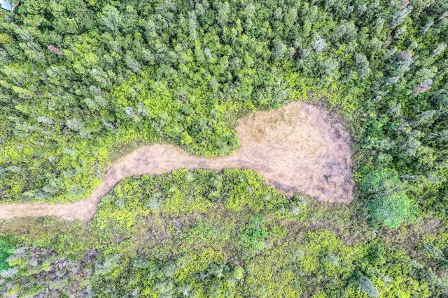 a view of a house with a tree