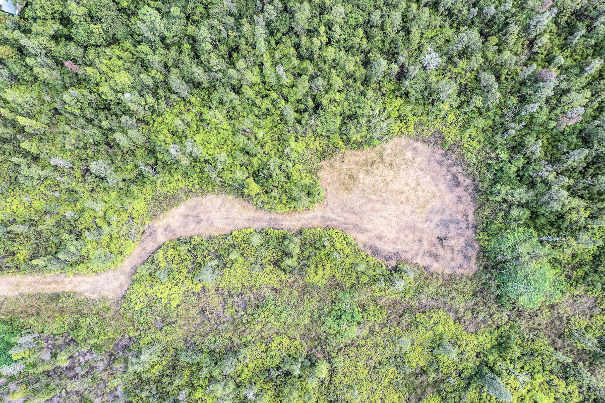 16-1474 Lot 3038 Hopue Rd Mountain View Mountain View, HI 96771 - Photo 29 of 30 a view of a yard