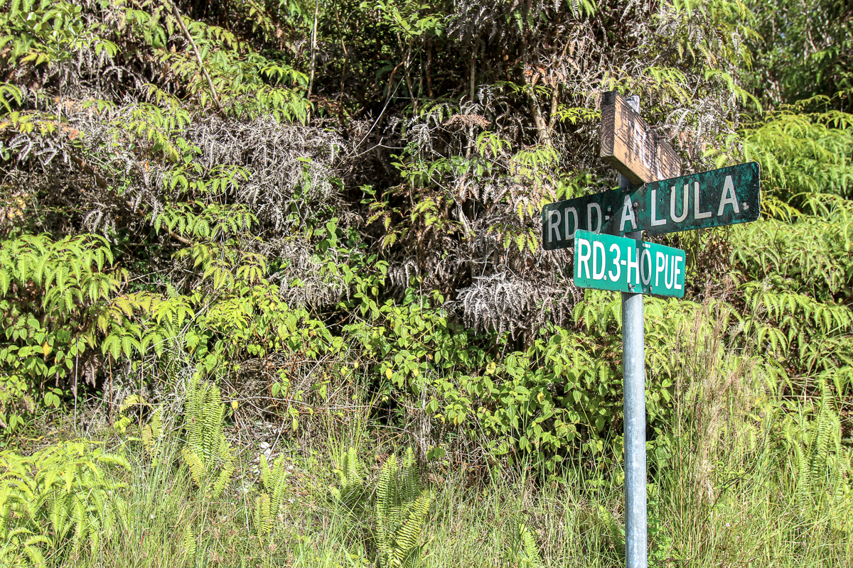 16-1474 Lot 3038 Hopue Rd Mountain View Mountain View, HI 96771 - Photo 30 of 30 a view of a house with a tree