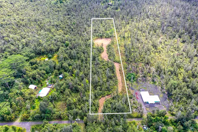 a picture of a tree with a tree