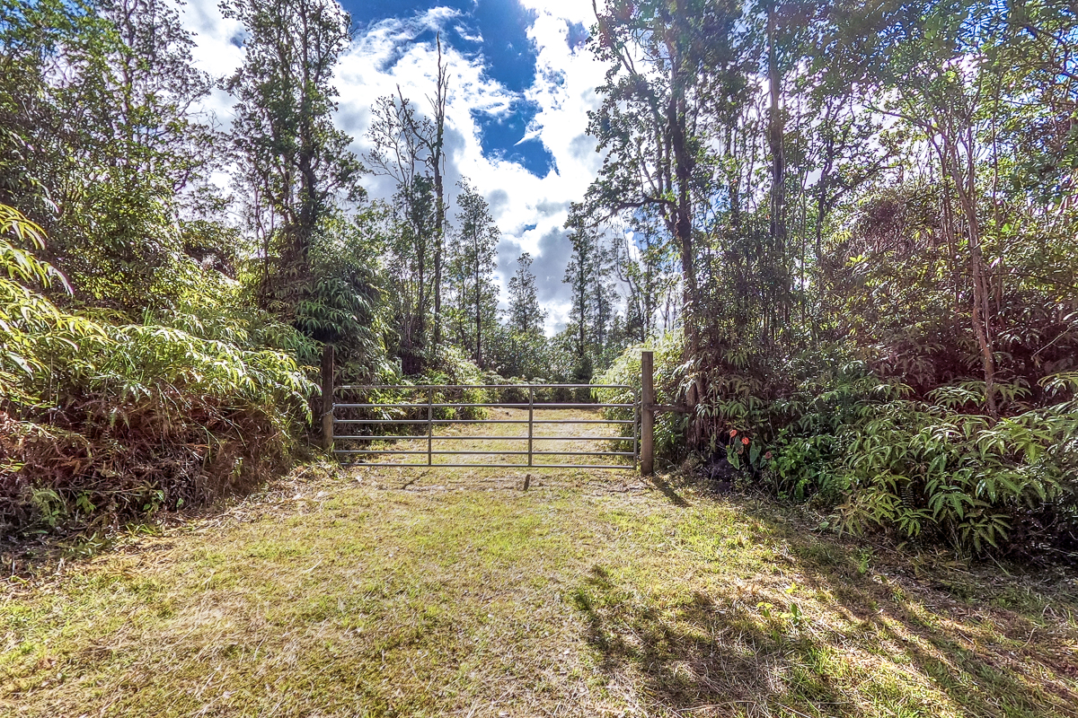 16-1474 Lot 3038 Hopue Rd Mountain View Mountain View, HI 96771 - Photo 4 of 30 a view of yard with tree