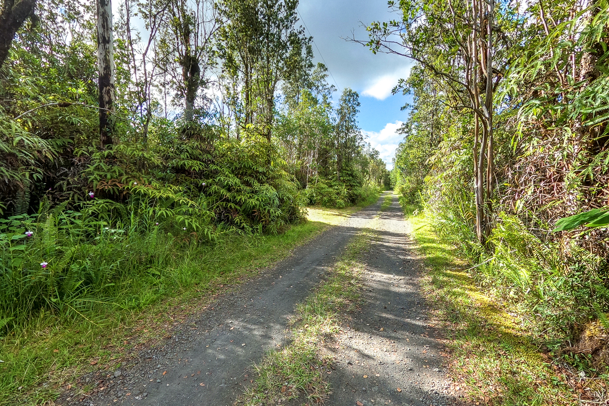 16-1474 Lot 3038 Hopue Rd Mountain View Mountain View, HI 96771 - Photo 5 of 30 a view of outdoor space and yard