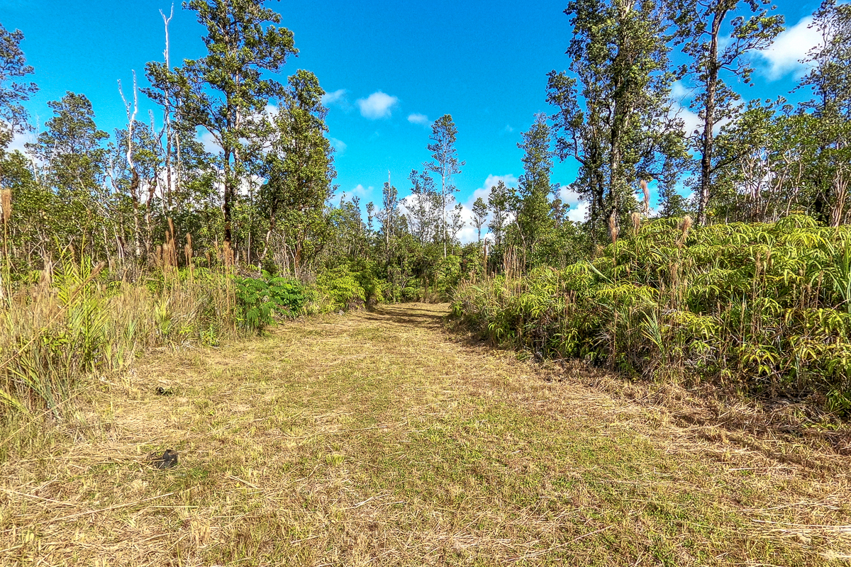 16-1474 Lot 3038 Hopue Rd Mountain View Mountain View, HI 96771 - Photo 6 of 30 a view of a yard with flower plants