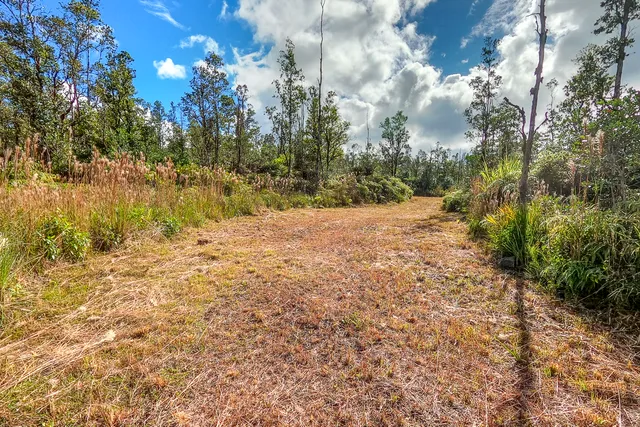 a view of backyard of house with green space